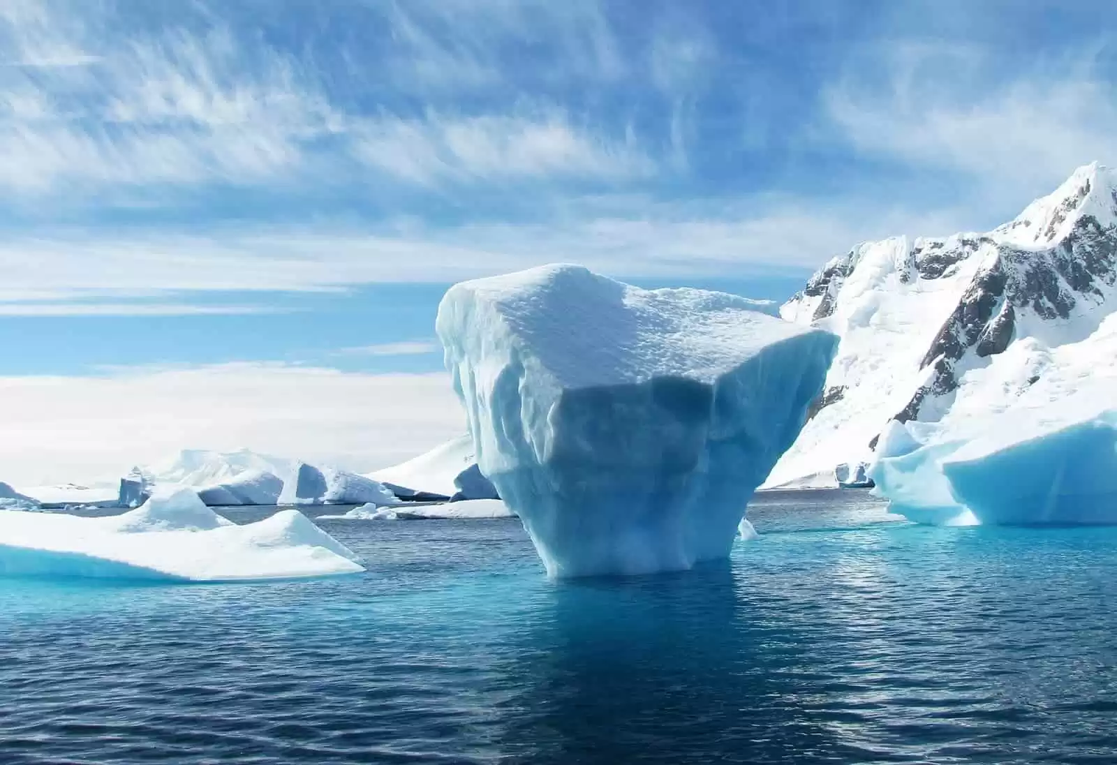 Antartico