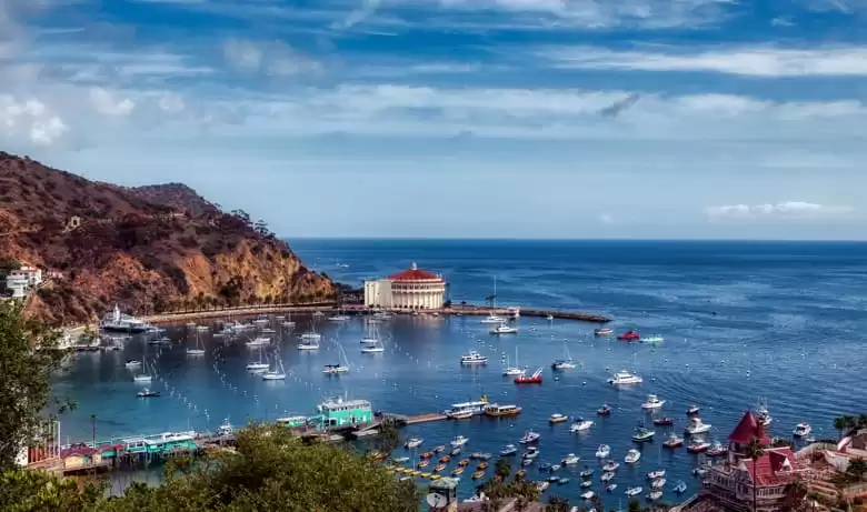 Catalina