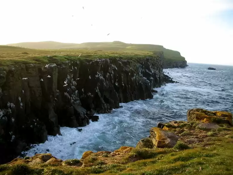 Ile de Grimsey