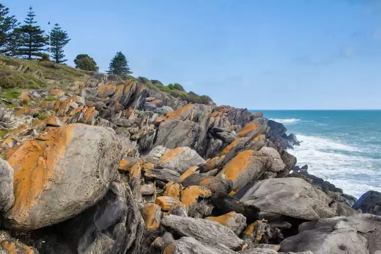 Isole del Kangouro