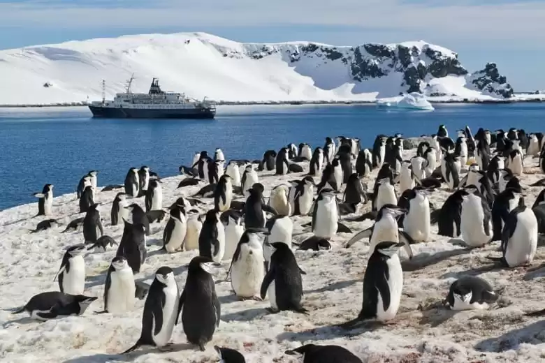 Isole Shetland Meridionali