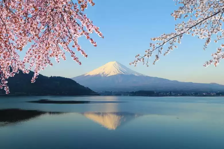 Tamano