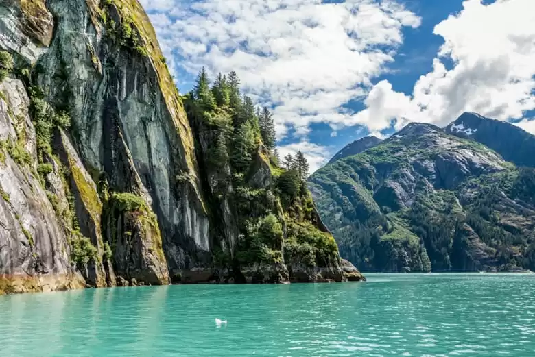 Tracy arm